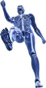 Fisioterapia per la Vita